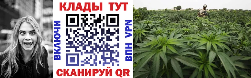 Наркошоп купить Кокаин  Меф  СОЛЬ  АМФЕТАМИН  ГАШ  Канабис  Кохма
