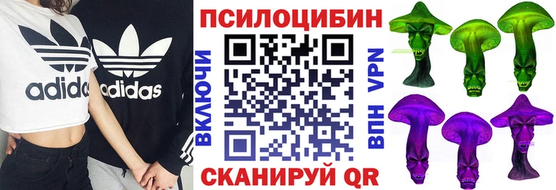 Купить  Кохма  Псилоцибиновые грибы мицелий 