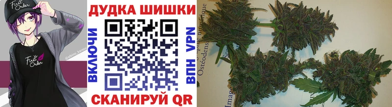 МАРИХУАНА сатива  Купить закладки  Кохма 